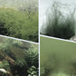 🔥Hot Sale🔥Powerful Aquarium Water Clarifier