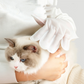 Waterless Pet Grooming Gloves for Cats & Dogs